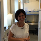 Dr. Ilaria Piccini