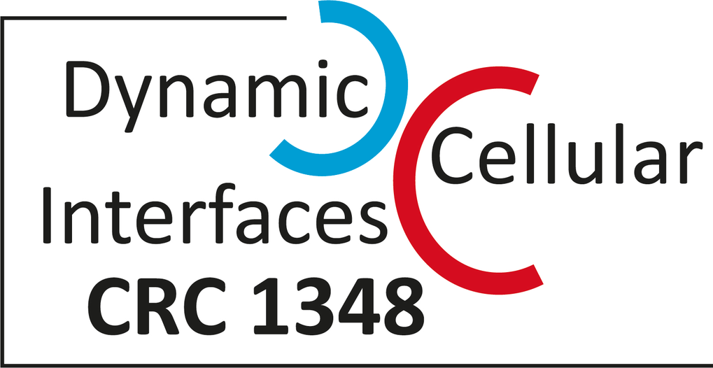 CRC1348-logo