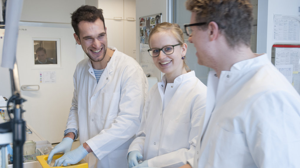 Phd Program Max Planck Institute For Molecular Biomedicine